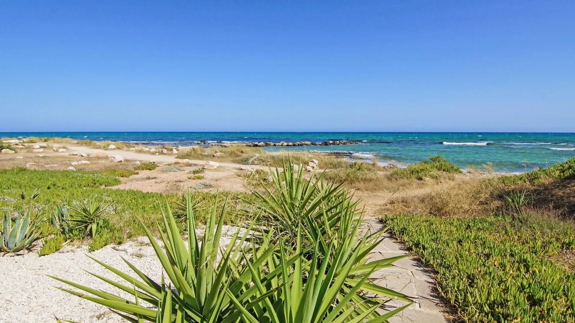 Villa Basil - 50M From Med Sea Ajia Napa 0*,